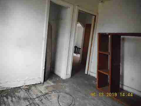 8266 Badger (11)_m.jpg